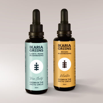 Pack dúo mañana + noche: 1x Melena de león + 1x Reishi